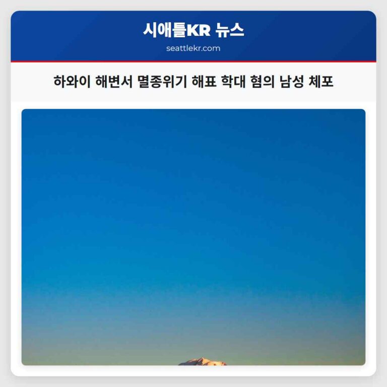 하와이 해변서 멸종위기 해표 학대 혐의 남성 체포