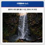 콜리어 시티 썸머 폴스 시신 앤서니 씨 추정