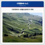 기후변화로 시애틀 알레르기 악화