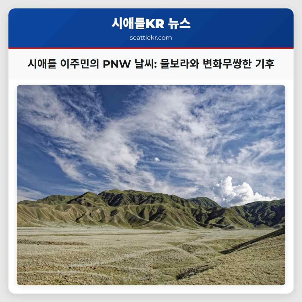 시애틀 이주민의 PNW 날씨: 물보라와 변화무쌍한 기후