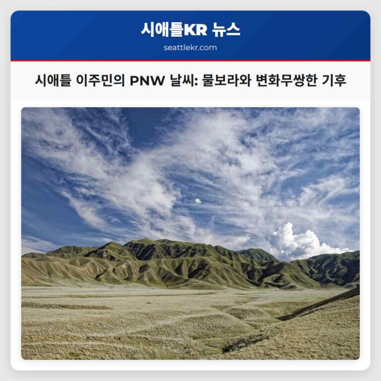 시애틀 이주민의 PNW 날씨 물보라와 변화무쌍한 기후