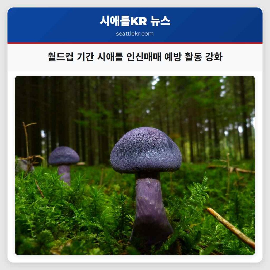 월드컵 기간 시애틀 인신매매 예방 활동 강화