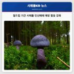 월드컵 기간 시애틀 인신매매 예방 활동 강화