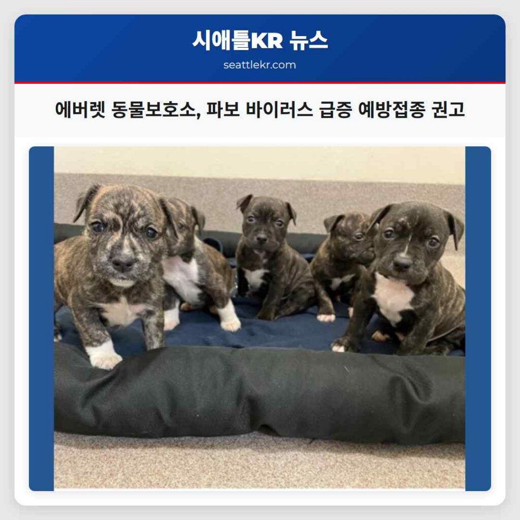 에버렛 동물보호소, 파보 바이러스 급증 예방접종 권고