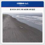 롱 비치서 회색 고래 18번째 사체 발견