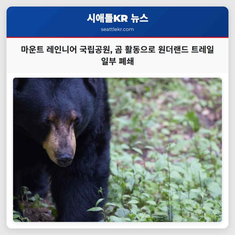 마운트 레인니어 국립공원 곰 활동으로 원더랜드 트레일 일부 폐쇄