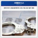 레이크우드 호텔 엘리베이터 사건 아동 유인 혐의 체포