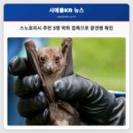 스노호미시 주민 3명 박쥐 접촉으로 광견병 확진