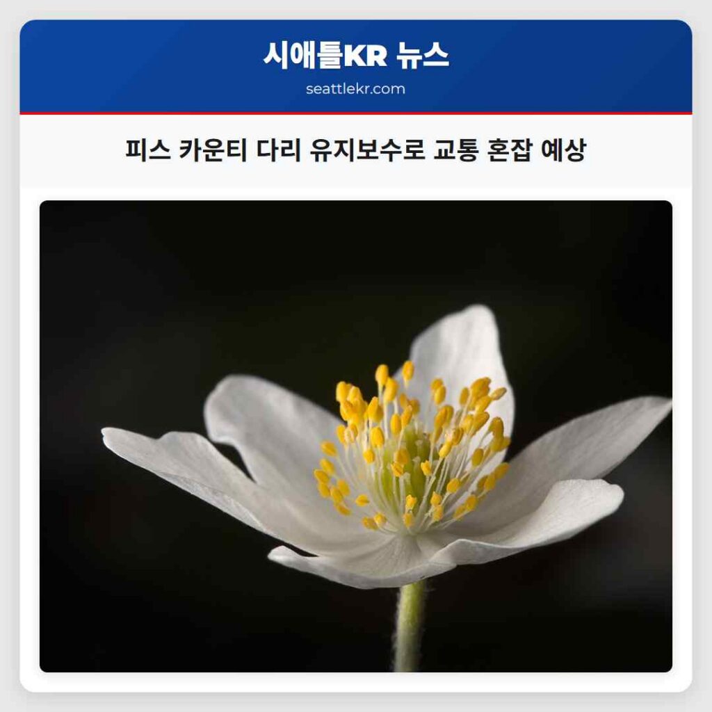 피스 카운티 다리 유지보수로 교통 혼잡 예상