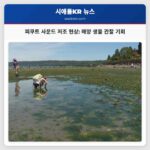 피쿠트 사운드 저조 현상 해양 생물 관찰 기회