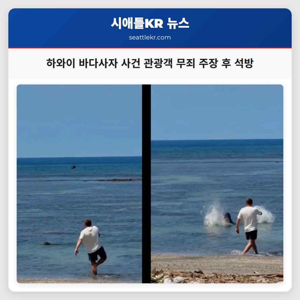 하와이 바다사자 사건 관광객 무죄 주장 후 석방