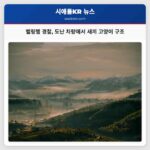 벨링햄 경찰 도난 차량에서 새끼 고양이 구조