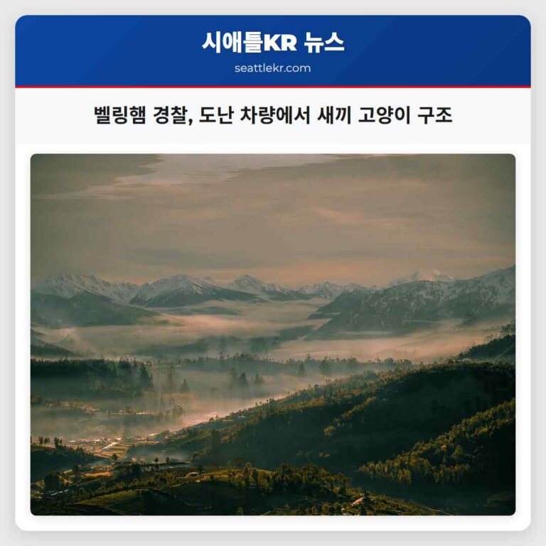 벨링햄 경찰 도난 차량에서 새끼 고양이 구조