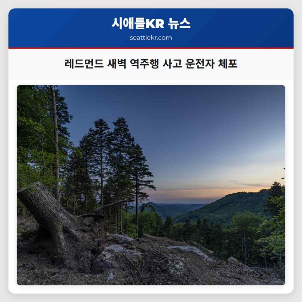 레드먼드 새벽 역주행 사고 운전자 체포