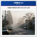 시애틀 아워레인어 총격 사건 CCTV 공개