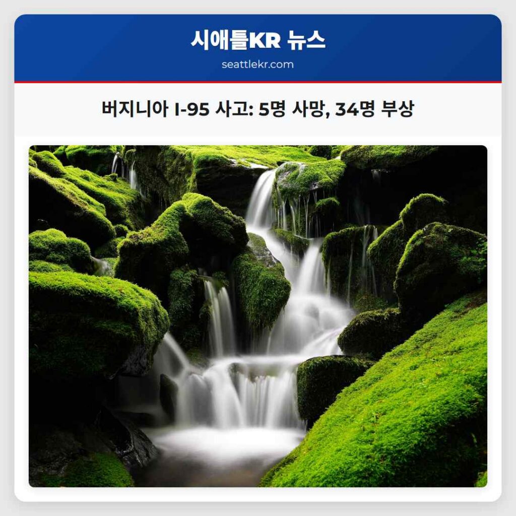 버지니아 I-95 사고: 5명 사망, 34명 부상
