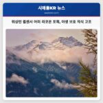 워싱턴 퀼센서 어미 라코온 포획 야생 보호 의식 고조