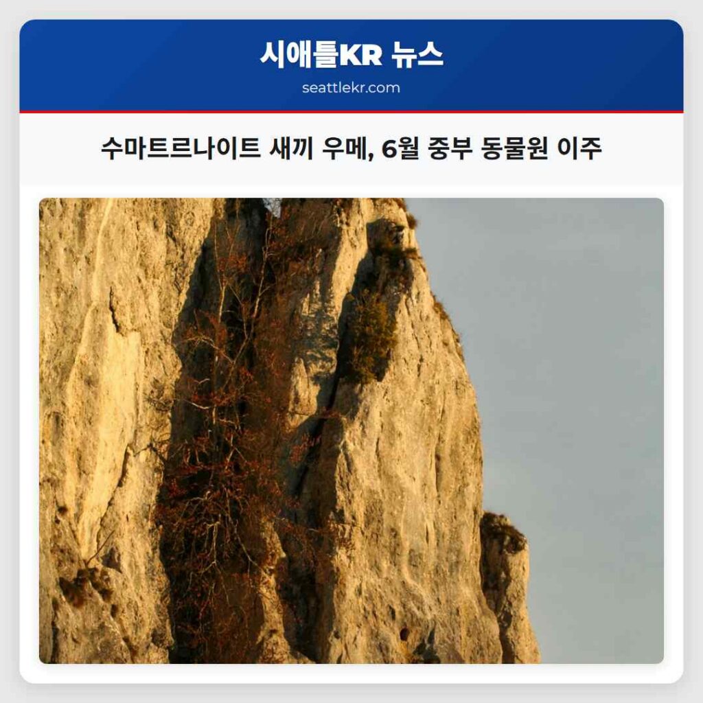 수마트르나이트 새끼 우메, 6월 중부 동물원 이주