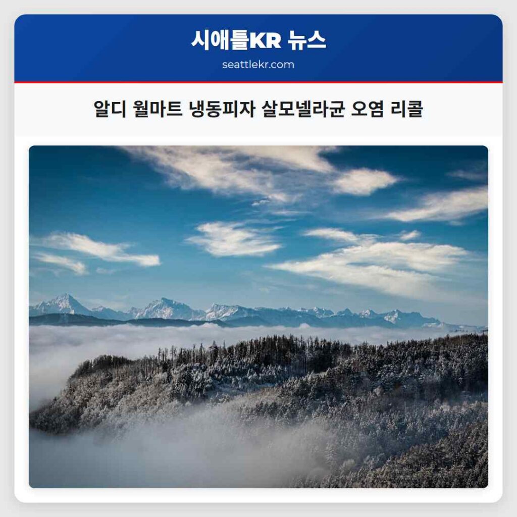 알디 월마트 냉동피자 살모넬라균 오염 리콜