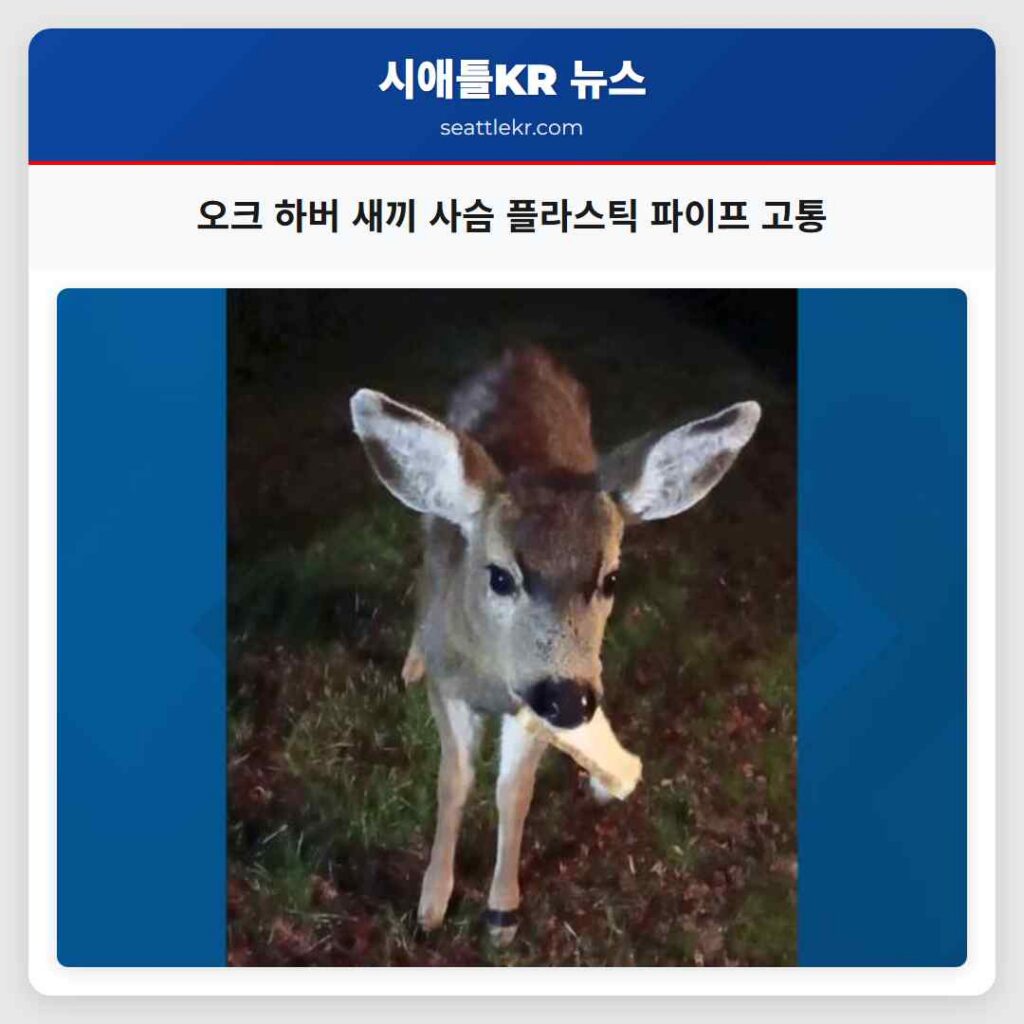 오크 하버 새끼 사슴 플라스틱 파이프 고통
