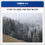 우드랜드 파크 동물원 고릴라 쌍둥이 출산 임박