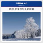 켄트우드 도주 중 차량 추락 용의자 체포