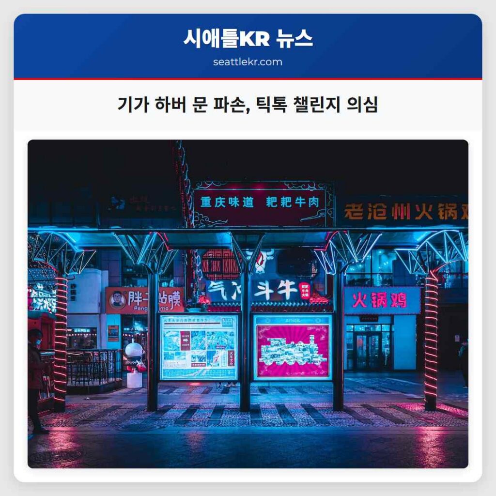 기가 하버 문 파손, 틱톡 챌린지 의심