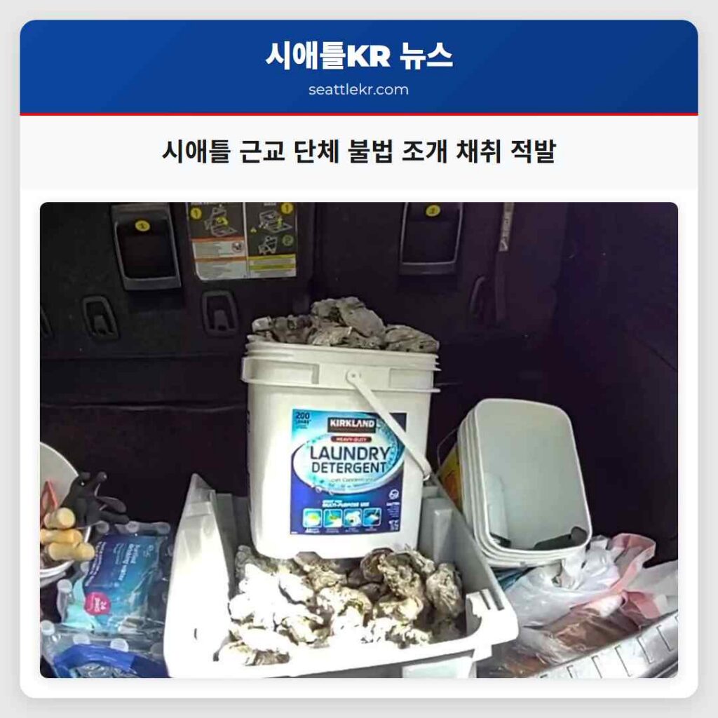시애틀 근교 단체 불법 조개 채취 적발