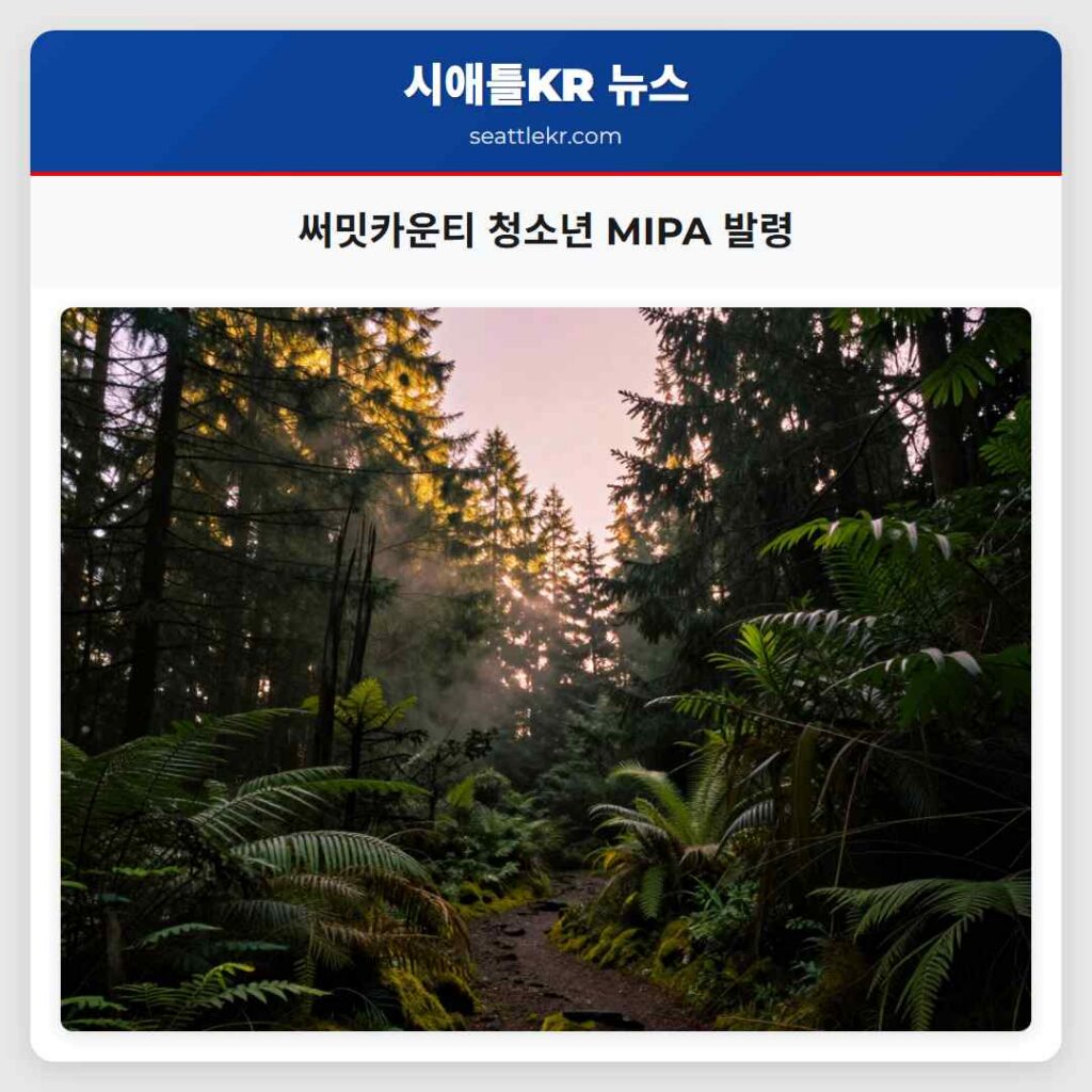 써밋카운티 청소년 MIPA 발령