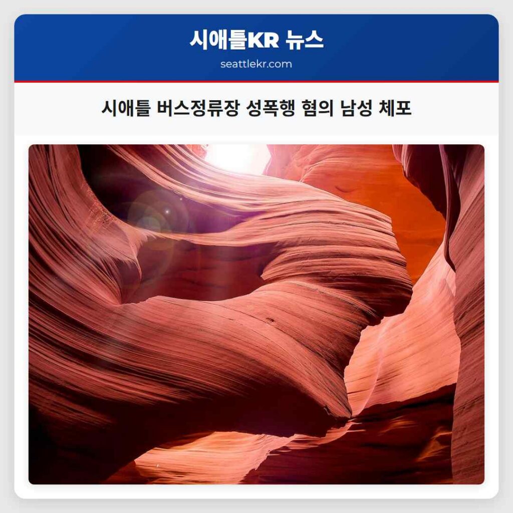 시애틀 버스정류장 성폭행 혐의 남성 체포