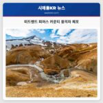 미드랜드 피어스 카운티 용의자 체포