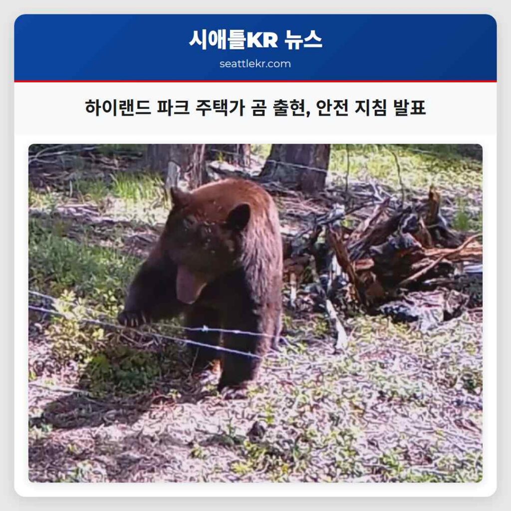 하이랜드 파크 주택가 곰 출현, 안전 지침 발표