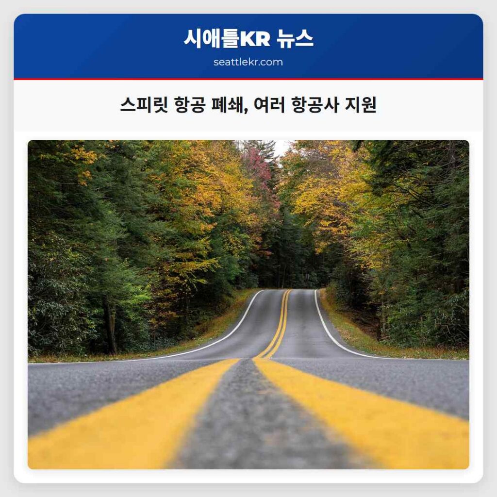스피릿 항공 폐쇄, 여러 항공사 지원