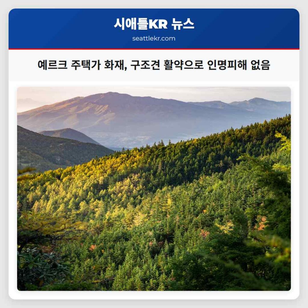 예르크 주택가 화재, 구조견 활약으로 인명피해 없음