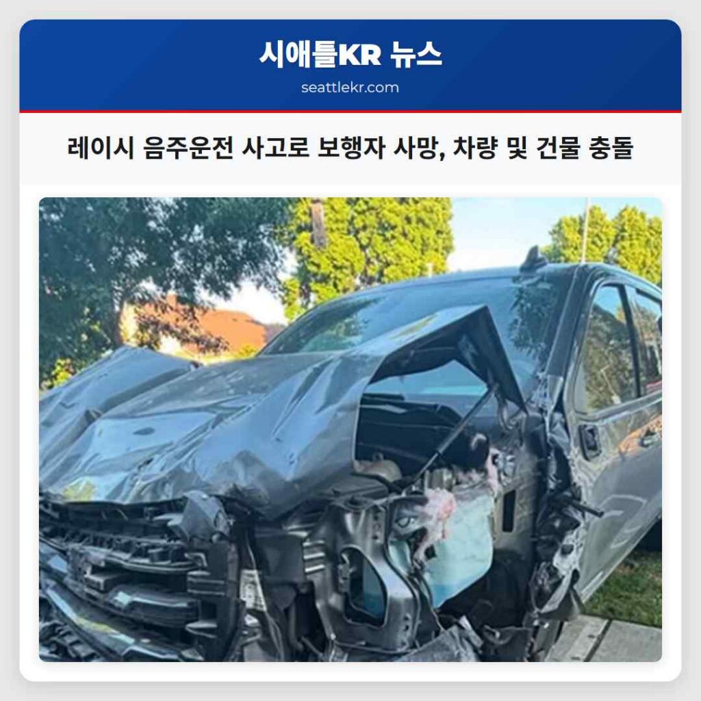 레이시 음주운전 사고로 보행자 사망, 차량 및 건물 충돌