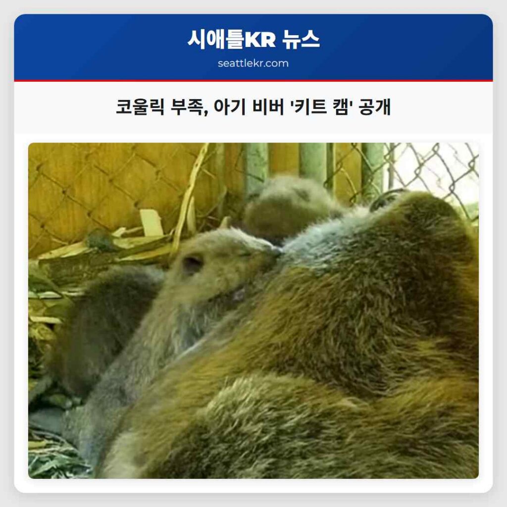 코울릭 부족, 아기 비버 '키트 캠' 공개