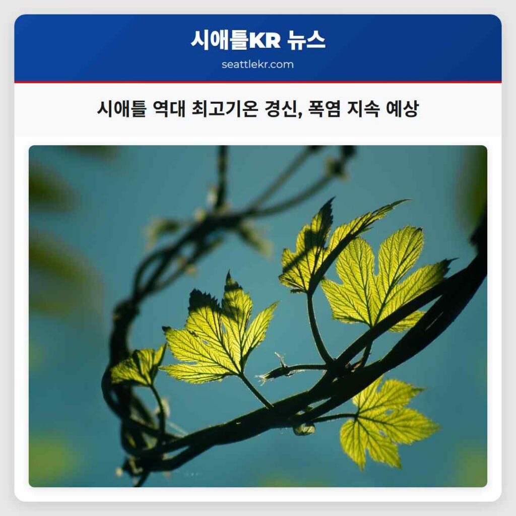 시애틀 역대 최고기온 경신, 폭염 지속 예상