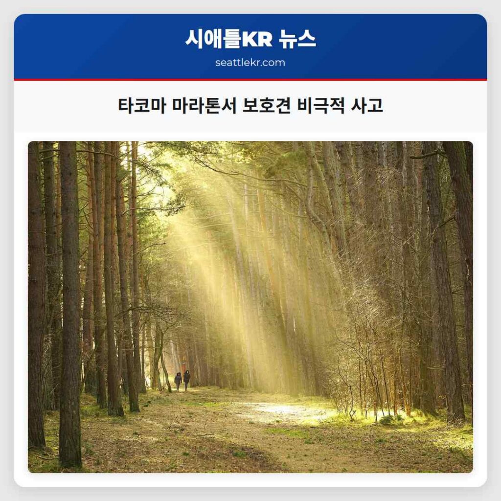 타코마 마라톤서 보호견 비극적 사고