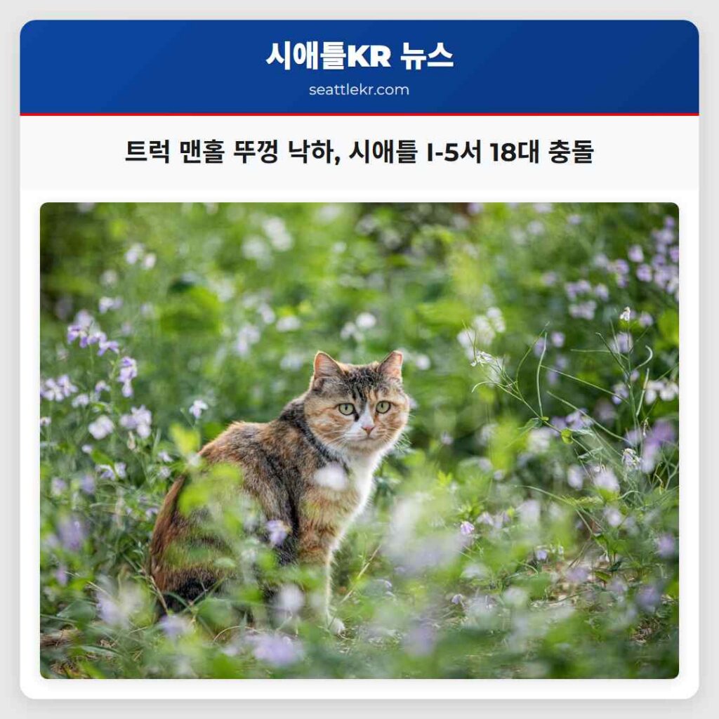 트럭 맨홀 뚜껑 낙하, 시애틀 I-5서 18대 충돌