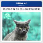 켄트 대학 농구 전설 오디 스미스 선생님 향년 89세로 별세