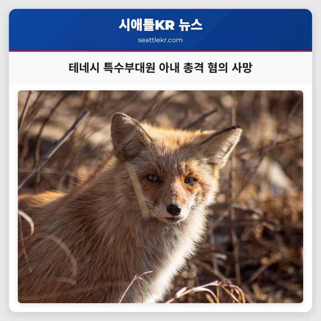 테네시 특수부대원 아내 총격 혐의 사망