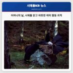 어머니의 날 시애틀 맑고 따뜻한 야외 활동 최적