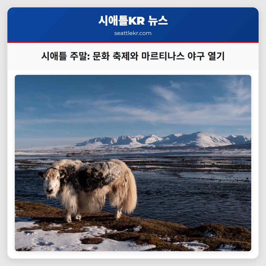 시애틀 주말: 문화 축제와 마르티나스 야구 열기