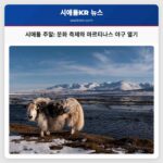 시애틀 주말 문화 축제와 마르티나스 야구 열기