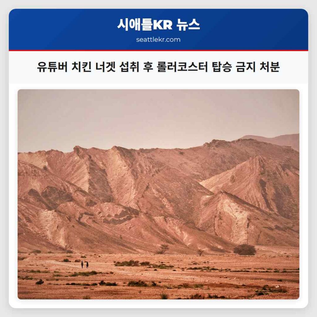 유튜버 치킨 너겟 섭취 후 롤러코스터 탑승 금지 처분