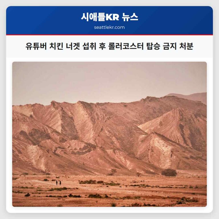 유튜버 치킨 너겟 섭취 후 롤러코스터 탑승 금지 처분