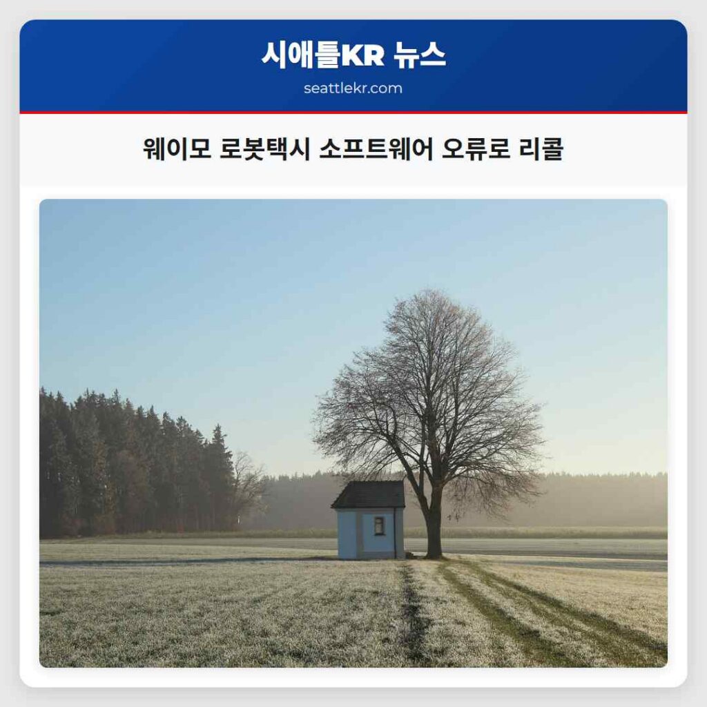 웨이모 로봇택시 소프트웨어 오류로 리콜