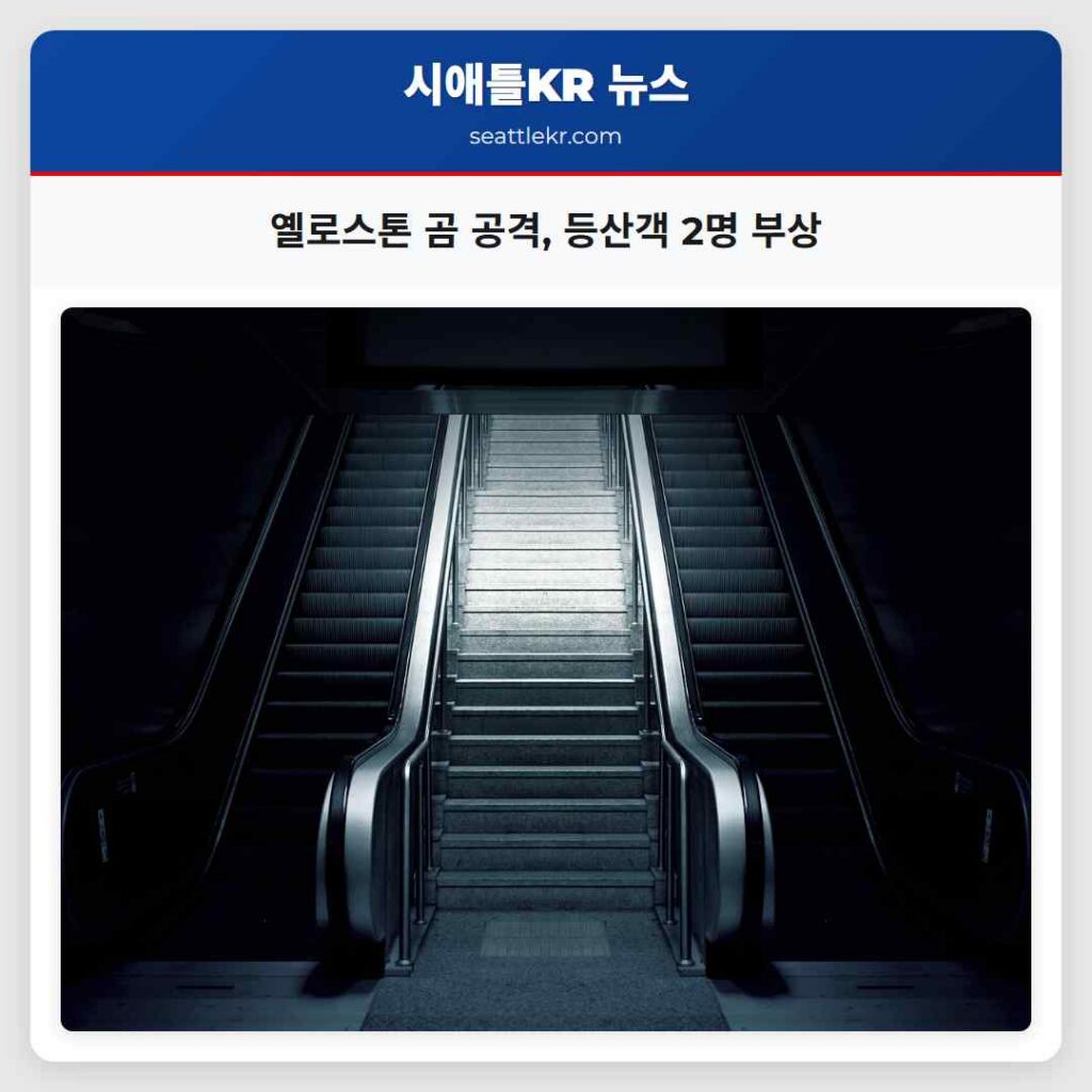 옐로스톤 곰 공격, 등산객 2명 부상