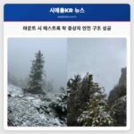마운트 시 해스트록 락 중상자 안전 구조 성공