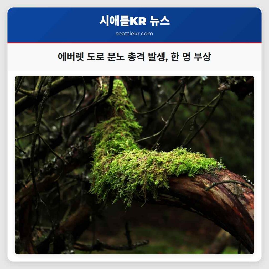 에버렛 도로 분노 총격 발생, 한 명 부상